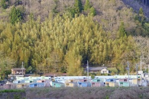 カラフルな世界に大興奮!トレーラーハウス宿泊村「El faro」の人気の理由に迫る![みちのく仕事]